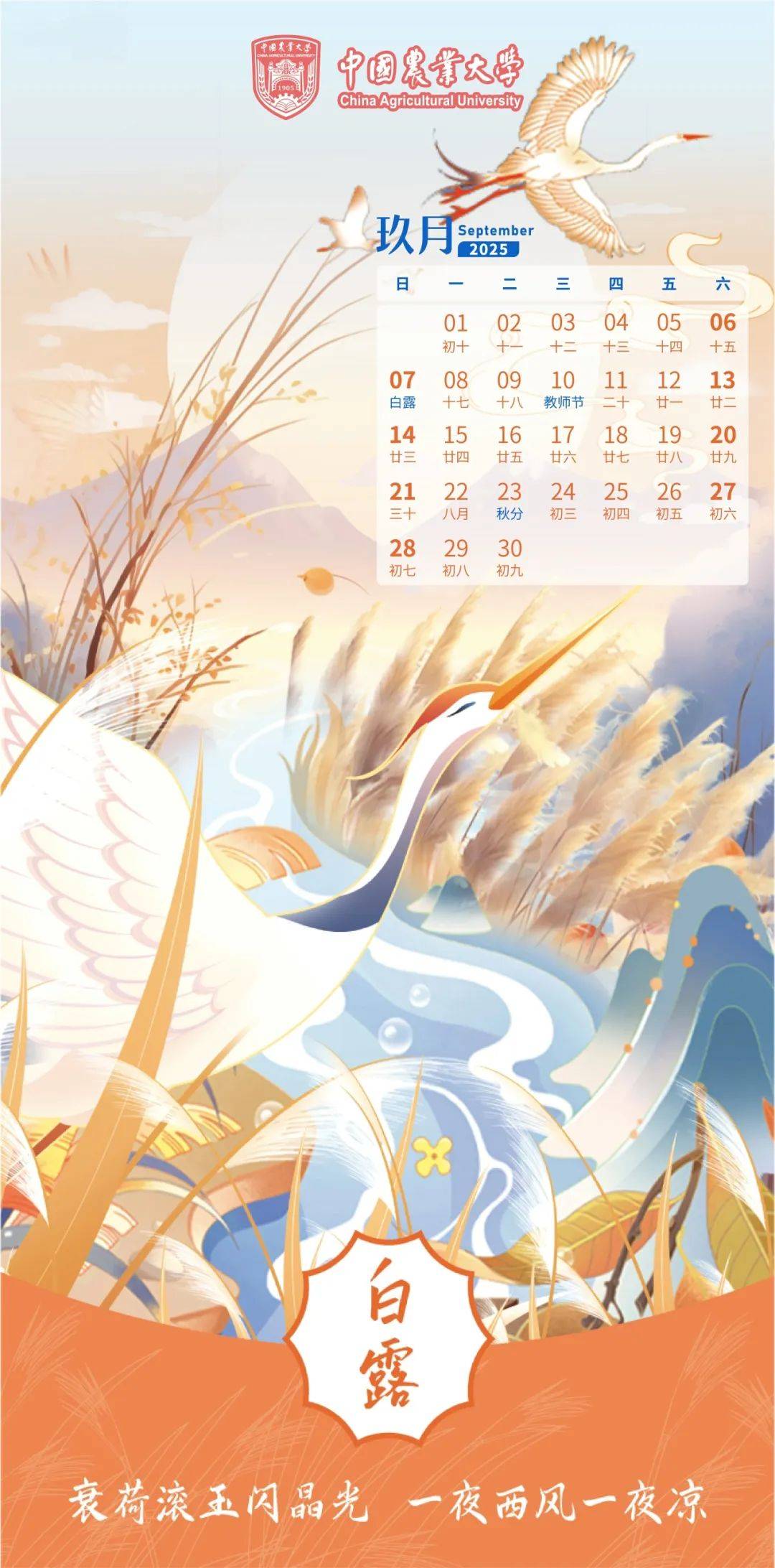 2009日历，回顾与展望-第2张图片