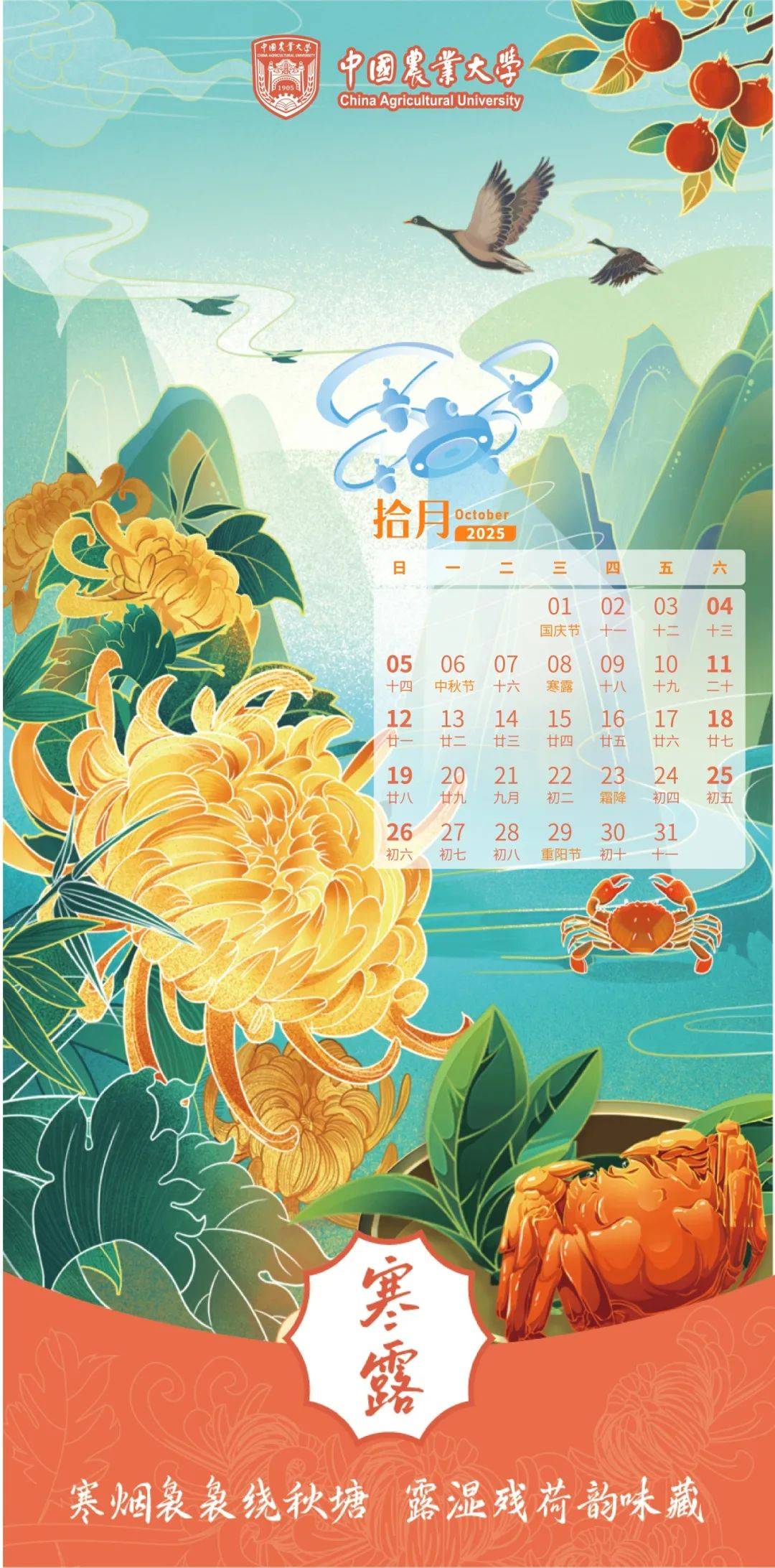 2009日历，回顾与展望-第3张图片