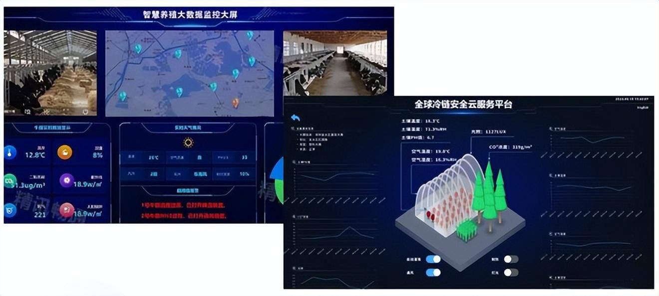 精准信息预测，未来趋势与决策依据