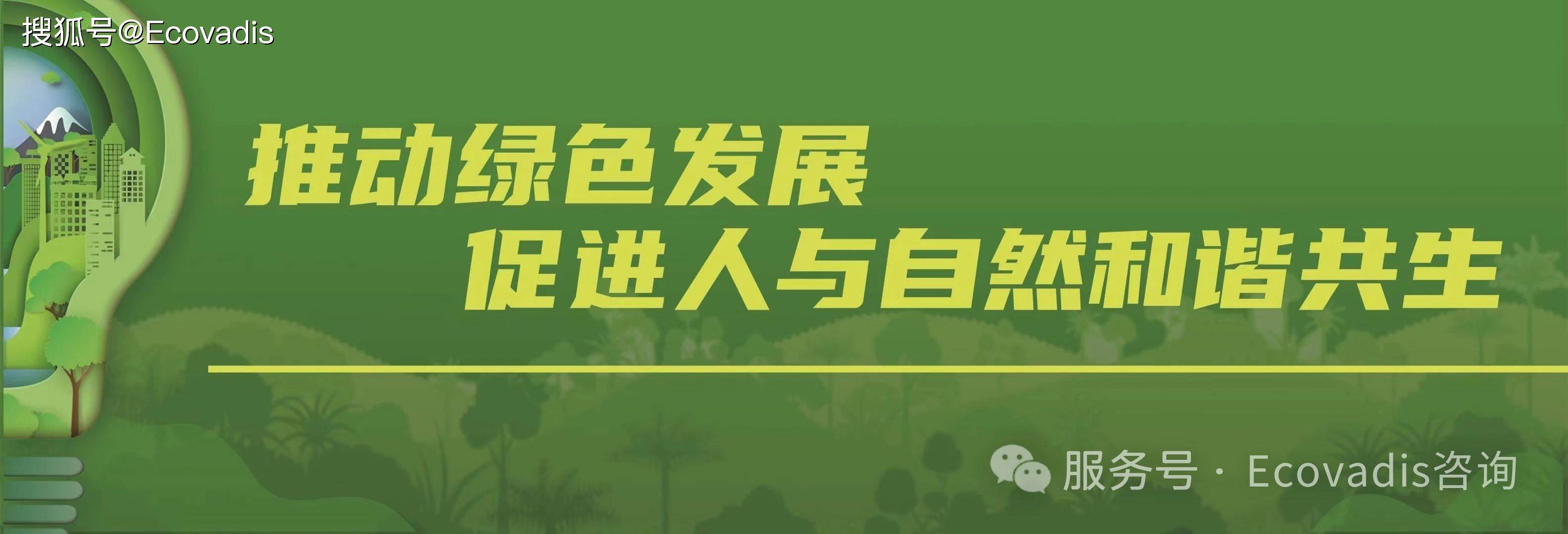 选料网官网选料网，引领绿色供应链的新篇章-第2张图片