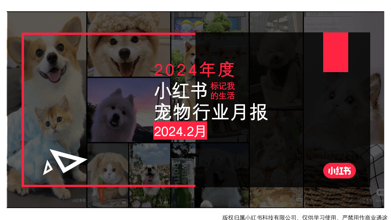 搏狗网怎么样博狗网HAOBC，引领宠物行业的新篇章-第1张图片