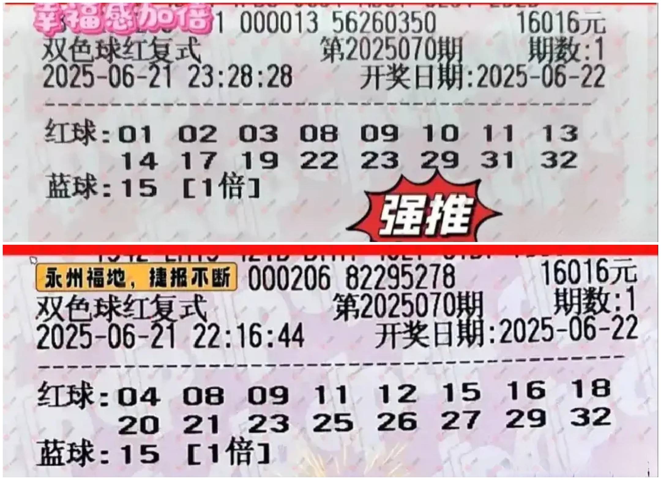 双色球机选号码，便捷购彩新体验