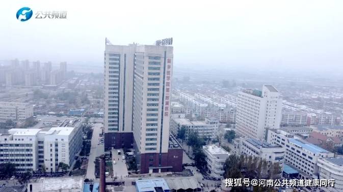 金明世家，传承与发展的典范-第3张图片