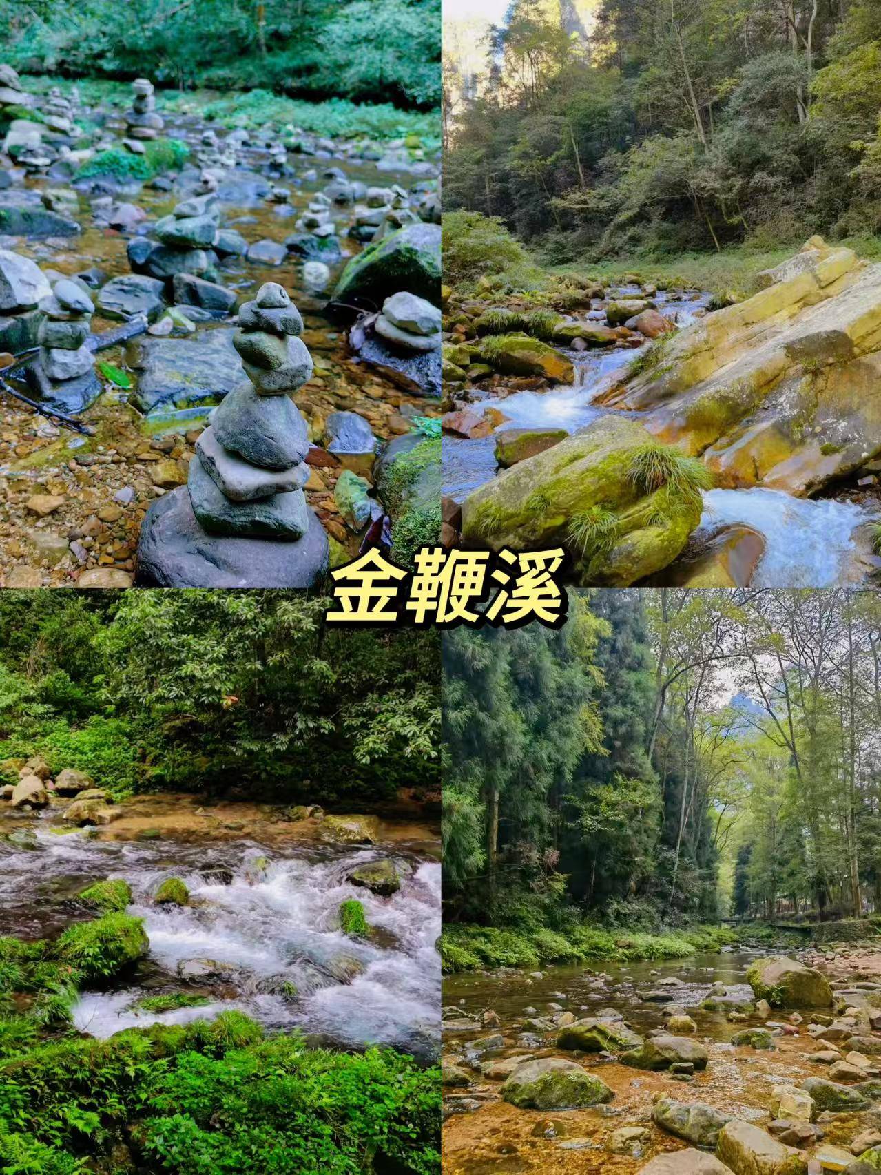 北京至张家界之旅