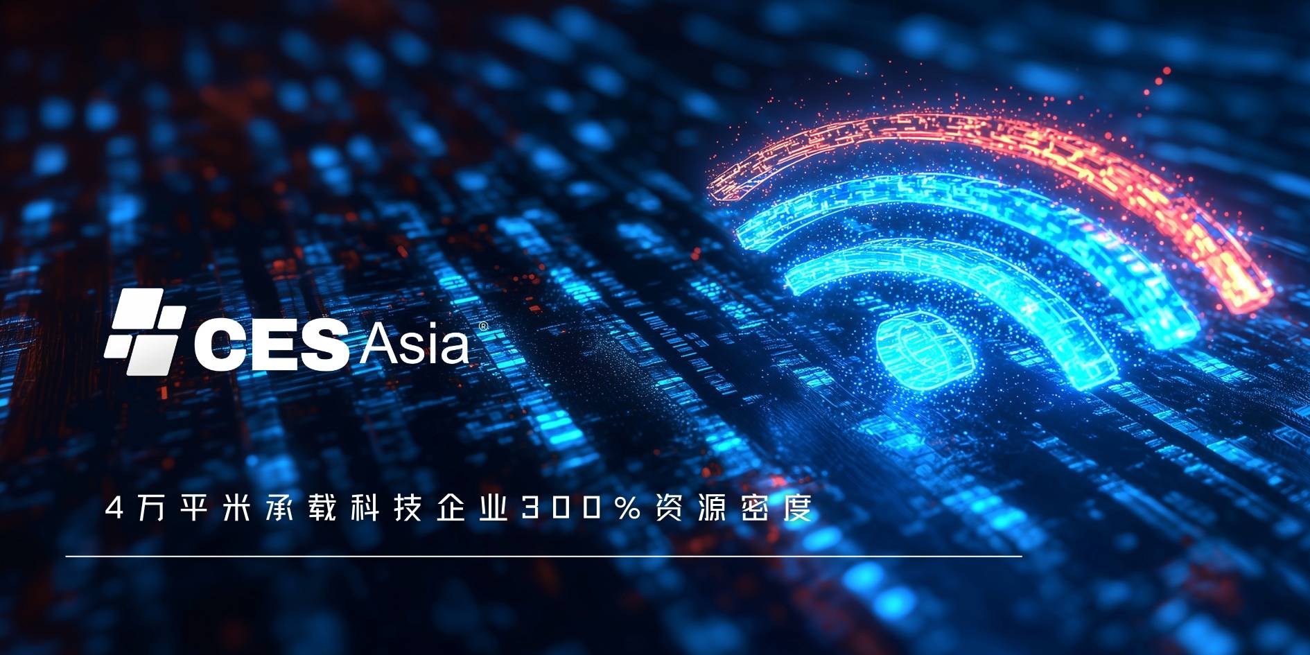 百家乐论坛，探索网络赌博的秘密世界