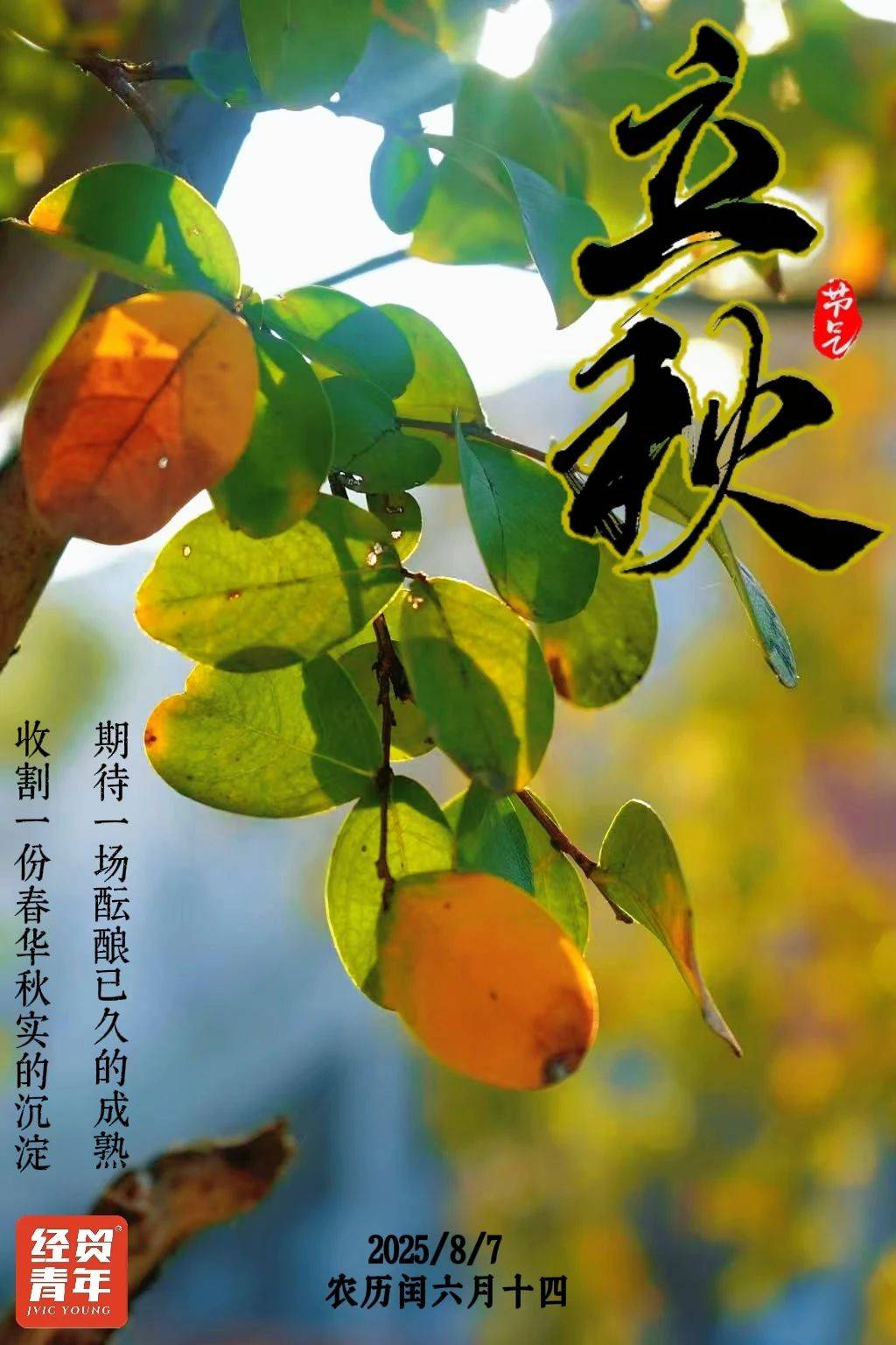 一叶知秋吉他谱