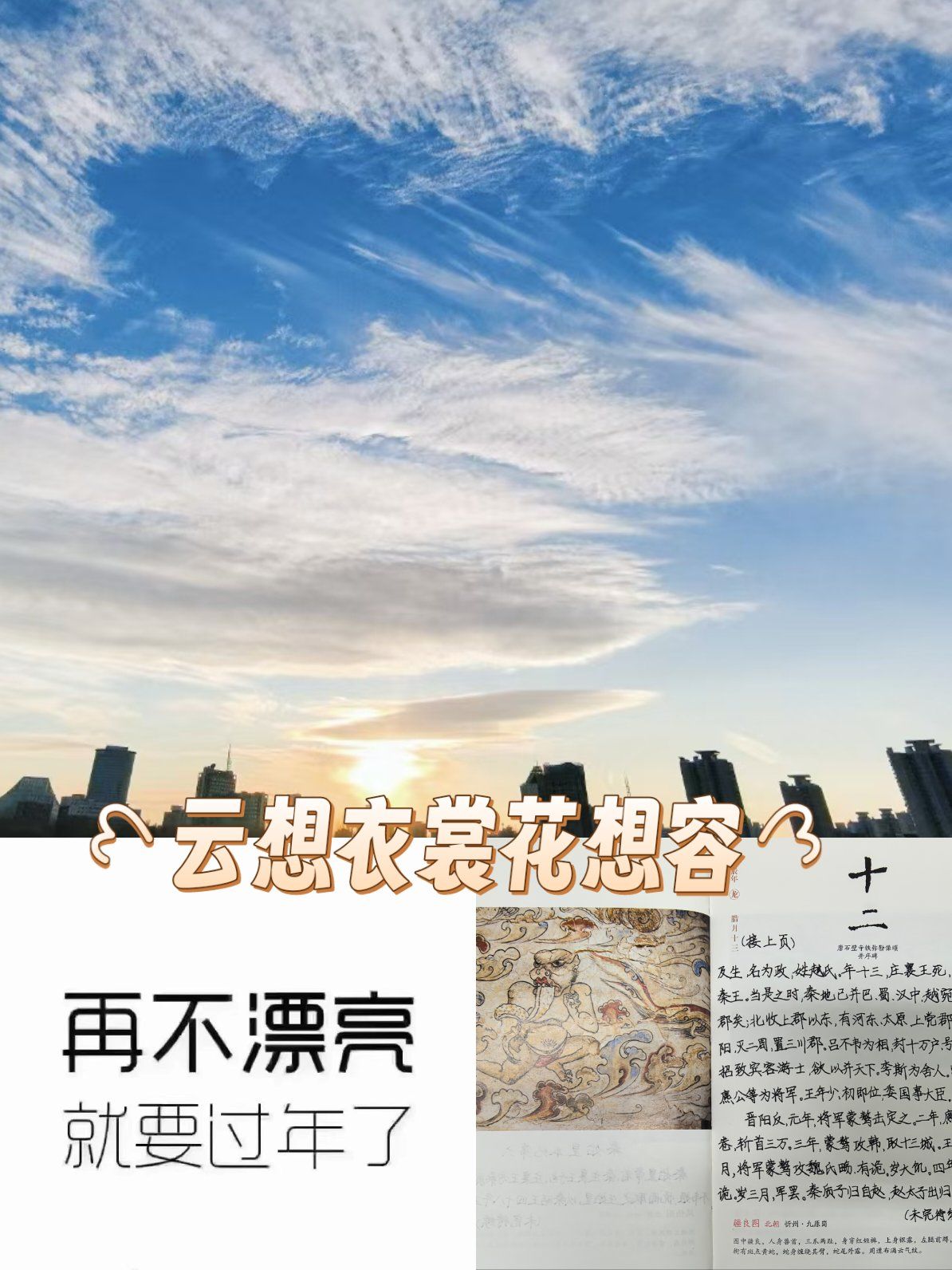 花想容云想衣裳花想容下一句花想容，绽放的美丽与诗意