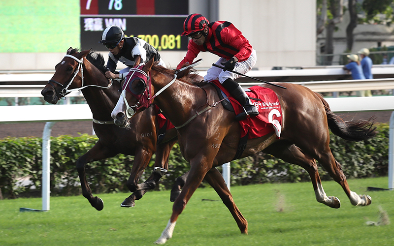 香港马会现场开奖体验
