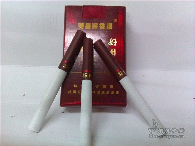 好日子心水论992998好日子高手心水论坛，探寻美好时光的秘籍-第2张图片