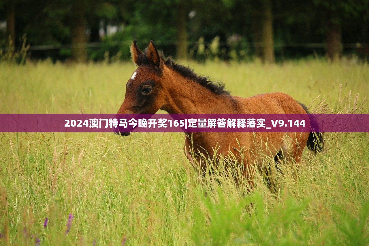 澳门2023年今晚开奖号码文章