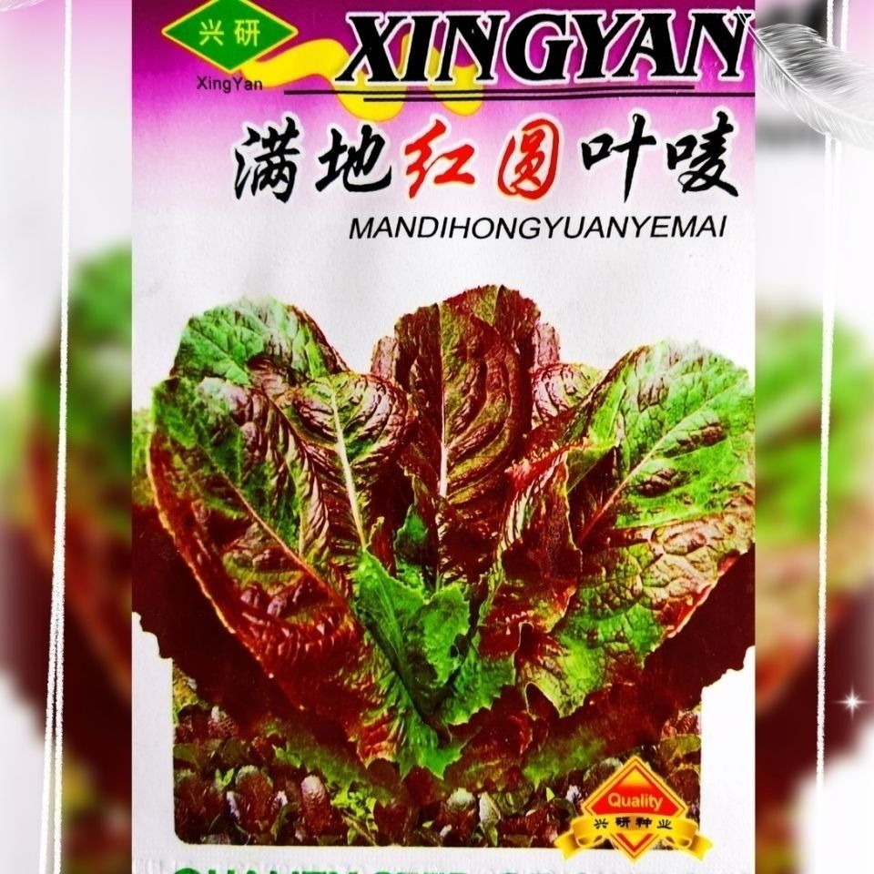 满地红