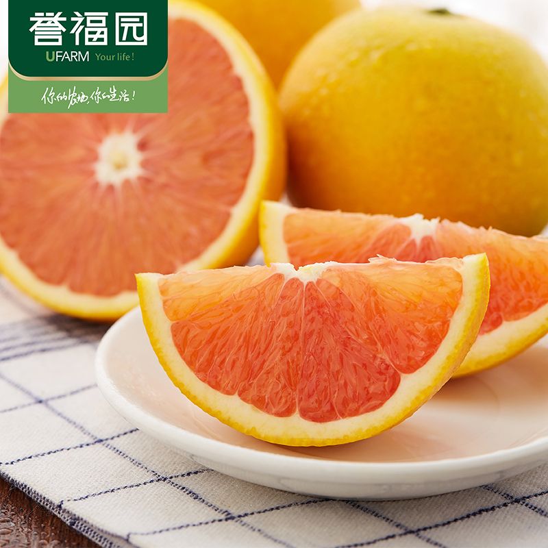中华彩摘网中华彩摘网，探索多彩文化的新窗口-第1张图片