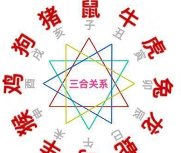 6合特吗出山林是什么生肖六合特码，智能科技引领未来-第2张图片
