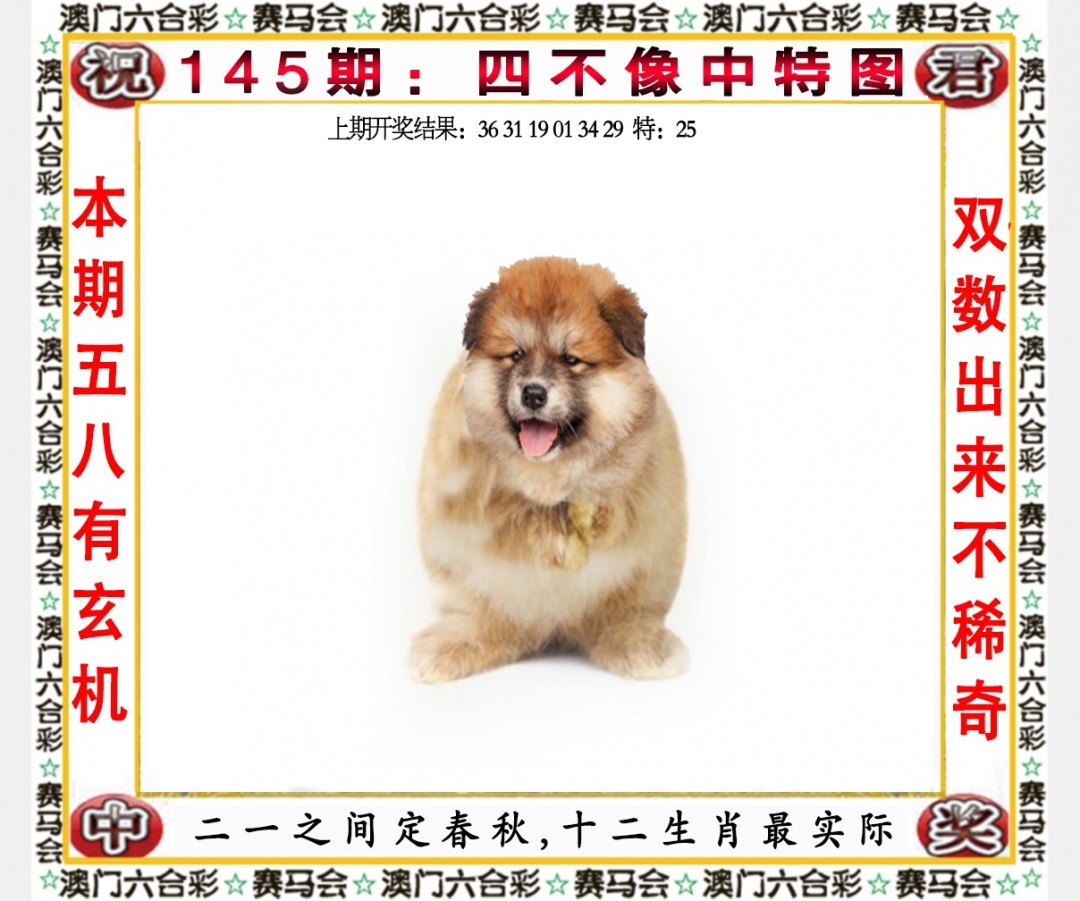 管家婆精准资料免费大全-第3张图片