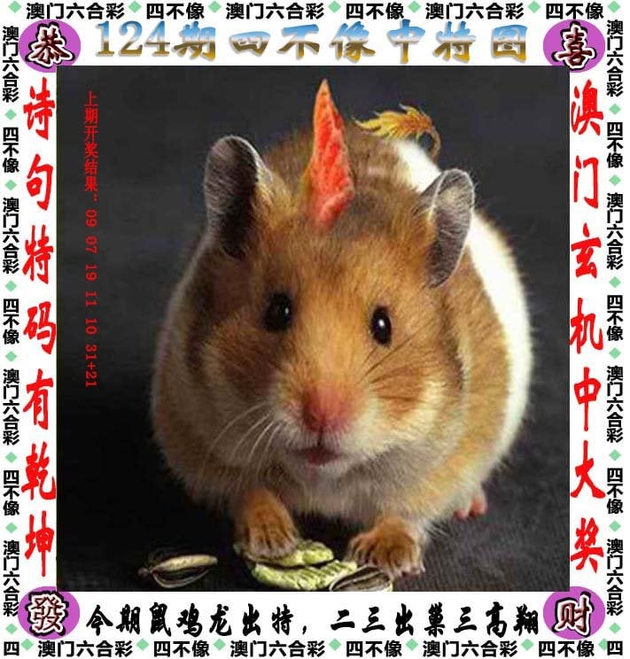 天天好彩5334cc免费资料下载-第2张图片