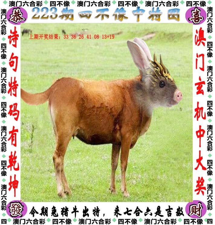 澳门天天资料免费大全澳门天天资料免费大全