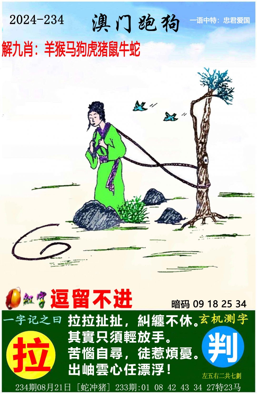 2024新澳门天天开好彩大全146期，揭秘幸运之门-第2张图片