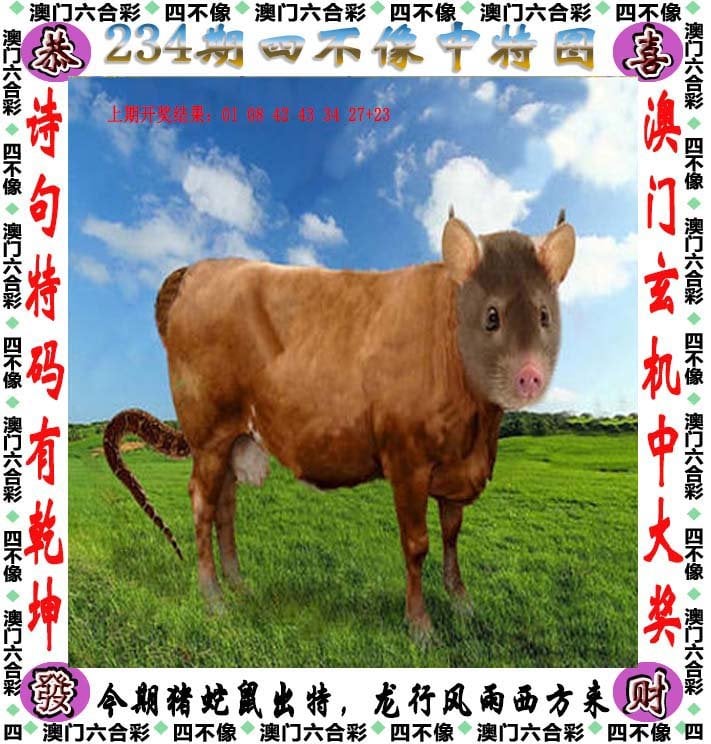 管家婆一码一肖资料大全白蛇图坛介绍
