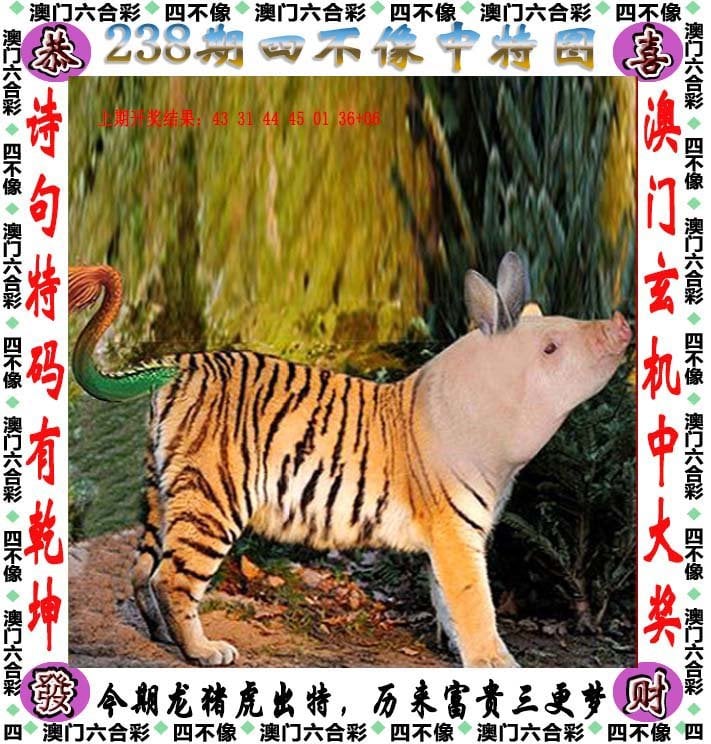 今期四不像图今期四不像图-第2张图片