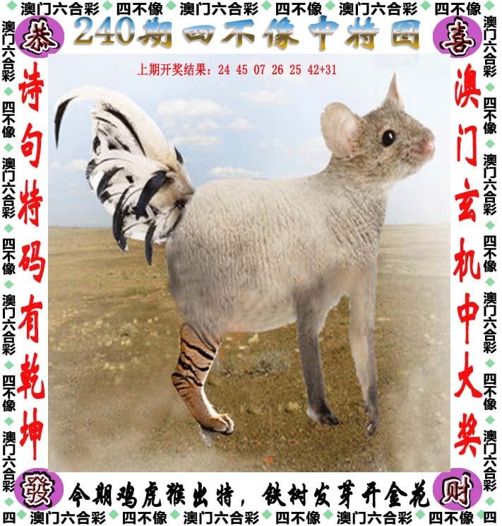 2024新澳门历史开奖记录2024新澳门历史开奖记录概览