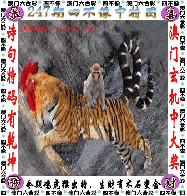 白小姐三肖三期开奖软件功能介绍