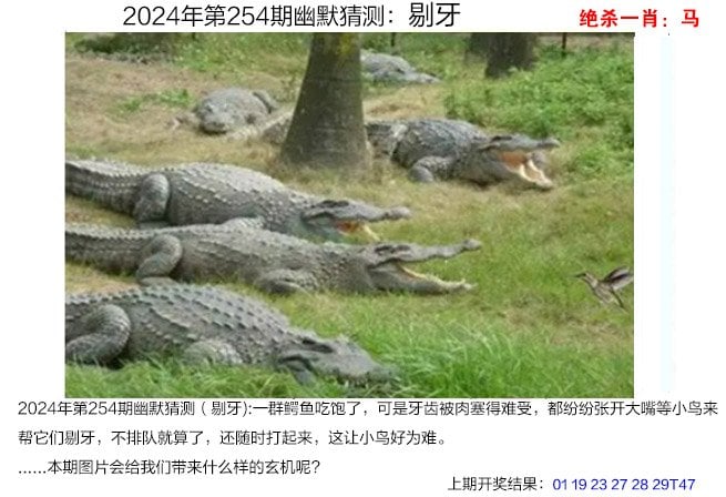澳门4949开奖结果最快澳门4949开奖结果最快揭晓-第1张图片