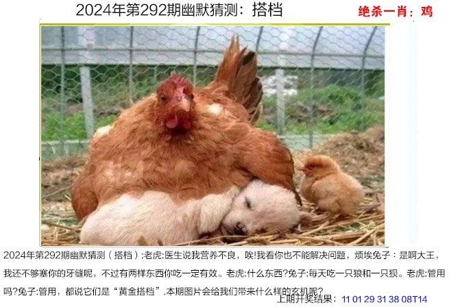 2024澳门资料大全正新版2024澳门资料大全正新版