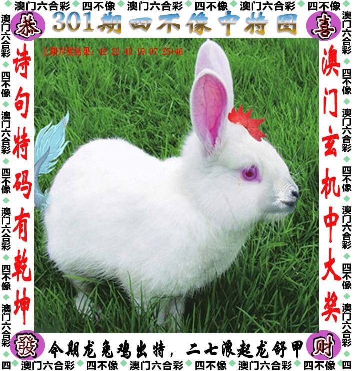246天天好彩免费资料246天天好彩免费资料，彩梦启航