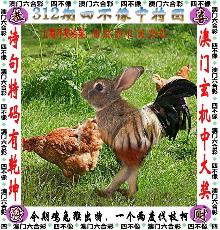 二四天天好彩859赢彩-第3张图片