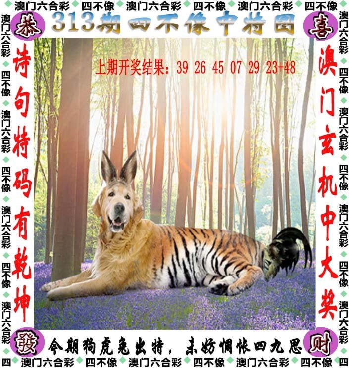 香港二四六开奖免费结果一香港历史最快开奖结果香港二四六开奖免费结果揭晓-第2张图片
