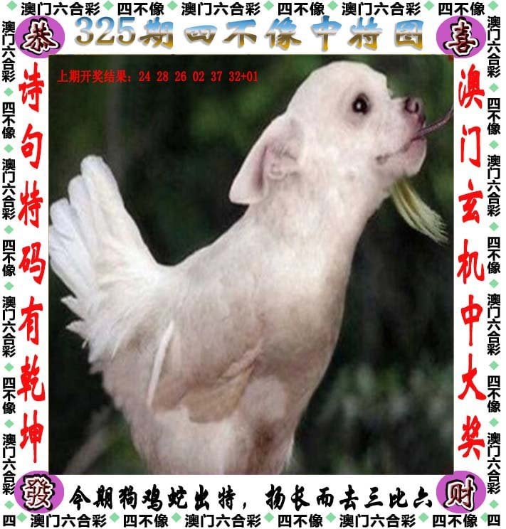 新奥彩今晚上开什么澳门彩最新一期开奖揭晓