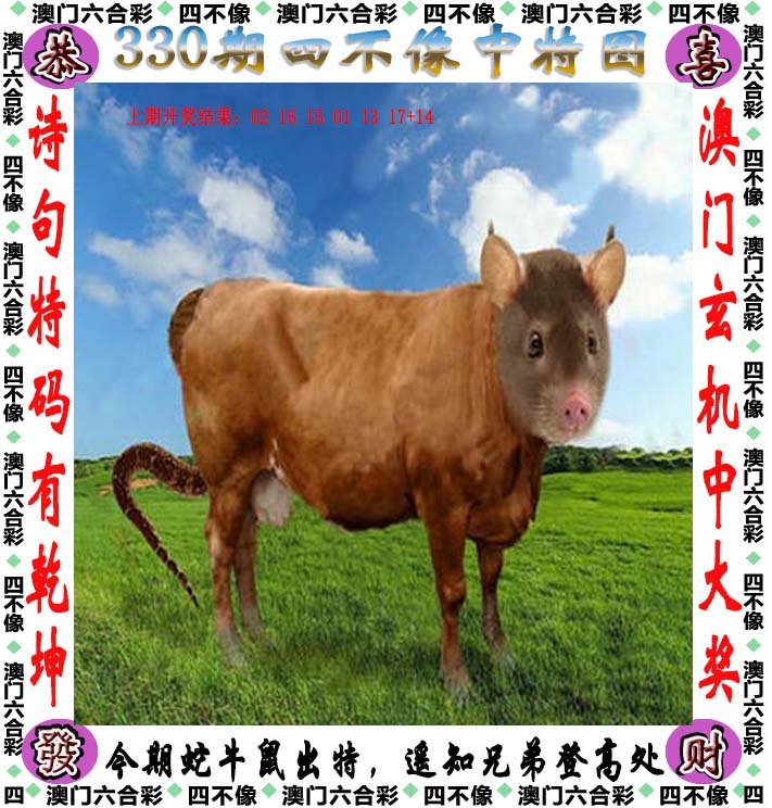 管家婆一肖一码一中一特，智能管理新篇章-第2张图片