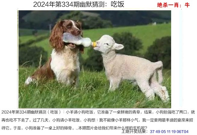 澳门2023六开彩资料免费大全澳门2023六开彩资料免费大全