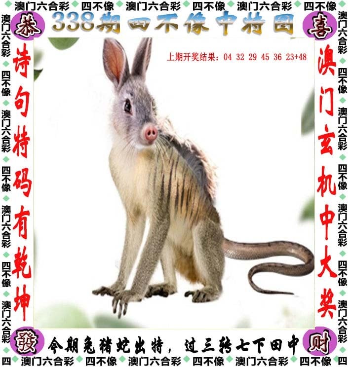 正版资料与内部资料正版资料免费资料大全，十点半精华