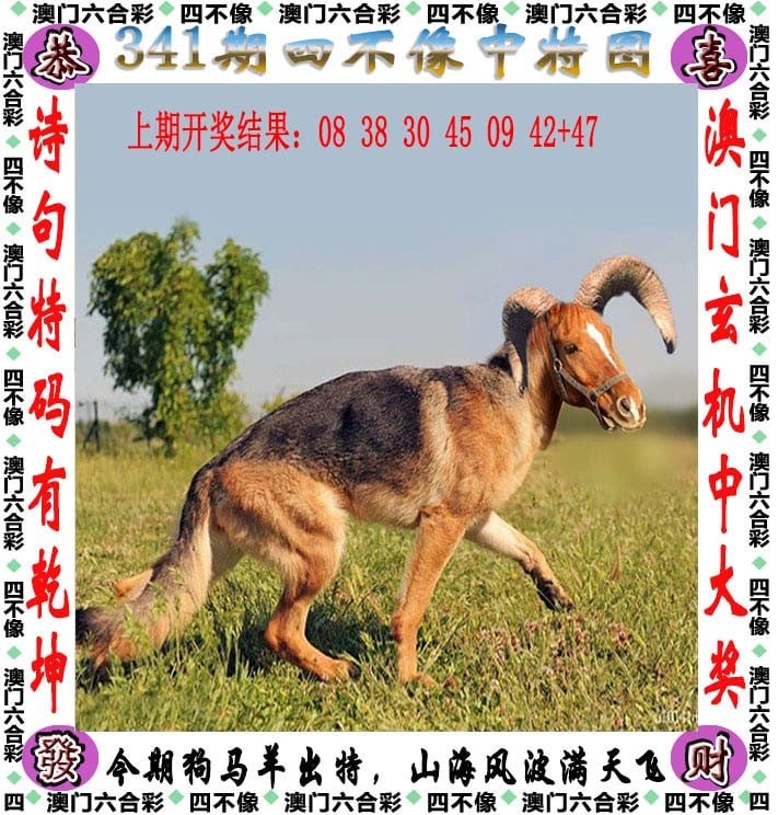 2024新澳门的资料大全2024新澳门资料大全-第2张图片