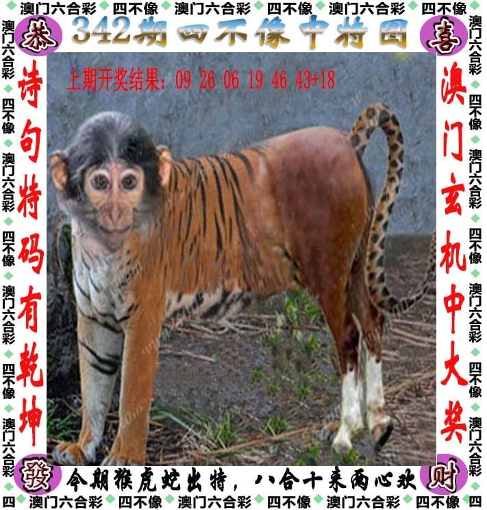 2025年新奥免费正版2024新奥历史开奖记录，香港篇