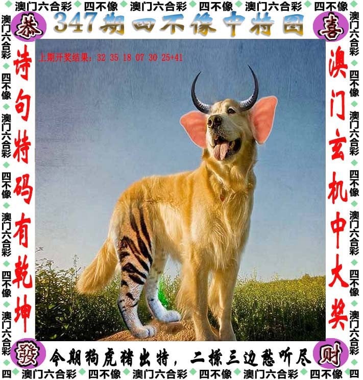 香港最准资料免费公开-第2张图片