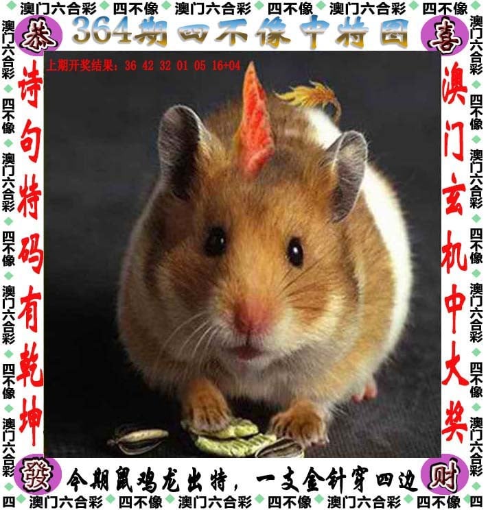 新澳2024管家婆资料第三期