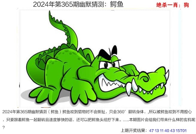 2024澳家婆一肖一特287期澳家婆2024，肖特特新篇章-第3张图片