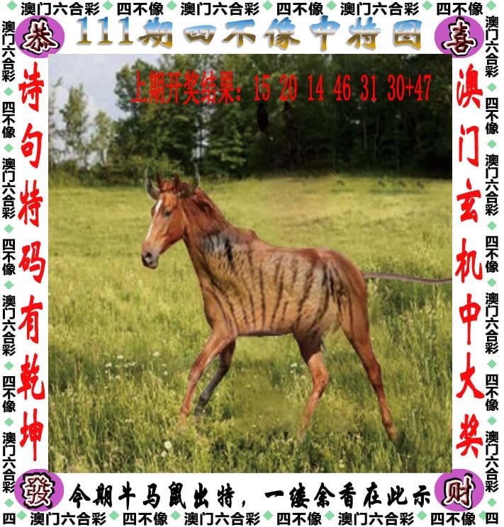 澳门历史开奖结果记录