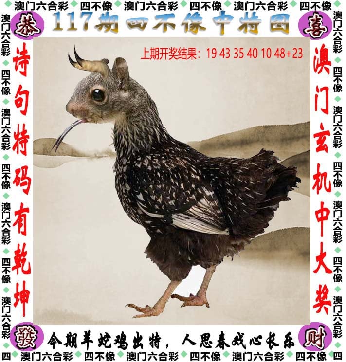 香港最准最快网站资料大全-第1张图片