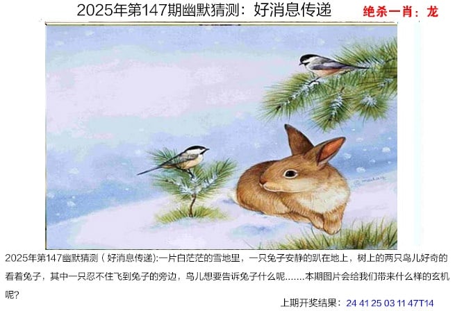 2024澳门天天六开奖玩法揭秘