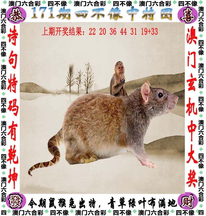 243期澳门网2024新澳免费资料三头67期，引领未来，开启智慧之门-第2张图片