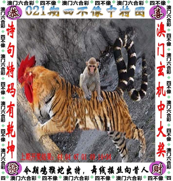2024新奥开奖结果揭晓，预测与展望