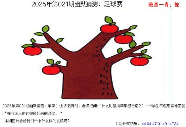 澳门天天开彩开奖结果揭晓