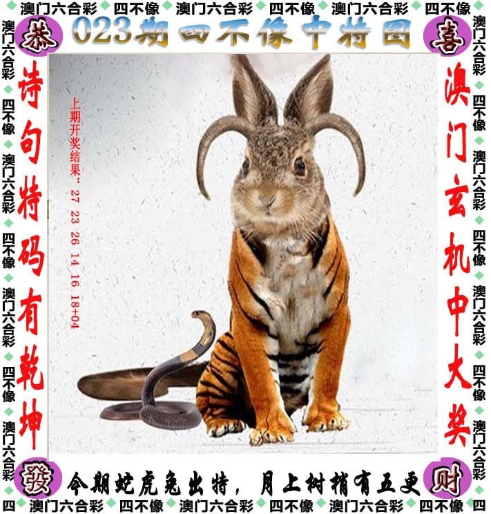 新澳门正版资料免费看新澳门正版资料免费看，探索无限知识海洋