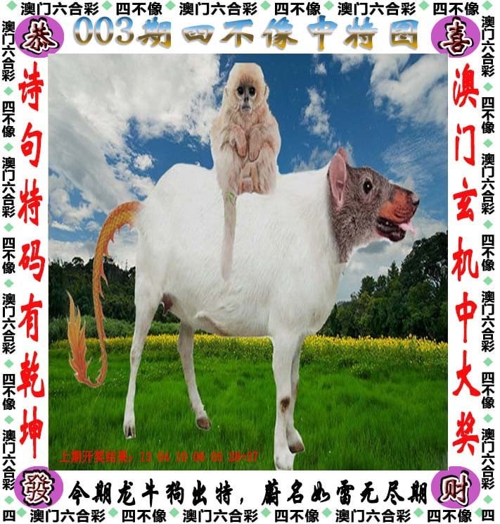 2004新奥门天天开好彩，璀璨人生，好运连连