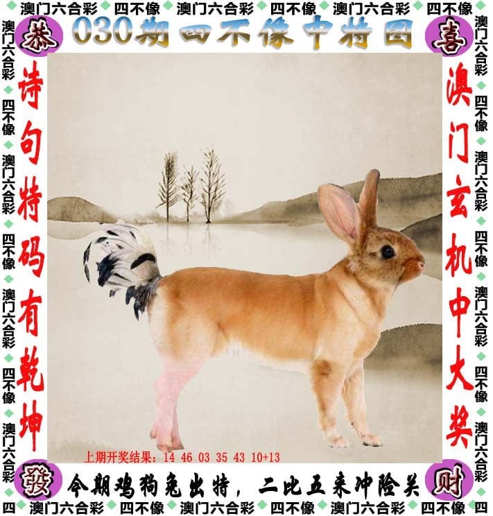 二四六天天好，彩资资料大全