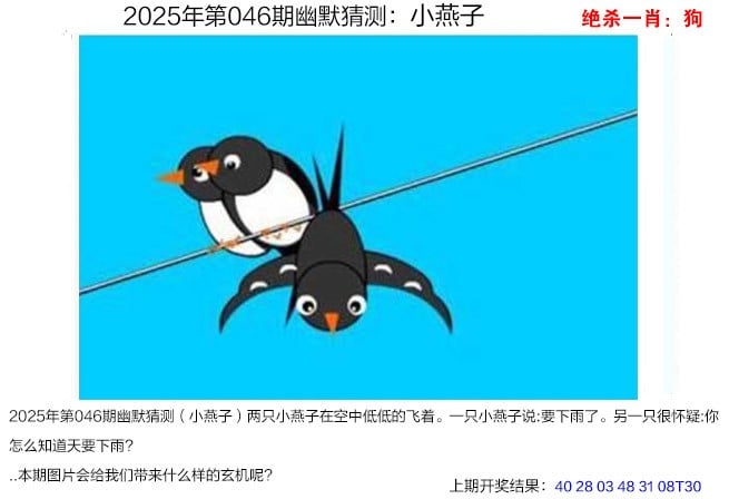 2025新澳历史记录查询入口官网2024新澳最新开奖结果查询