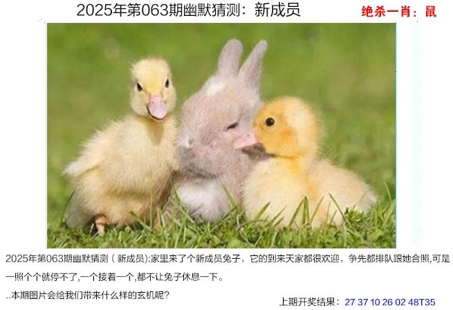 二四六天天好彩(944cc)246资料大全777二四六天天好彩——777资料大全